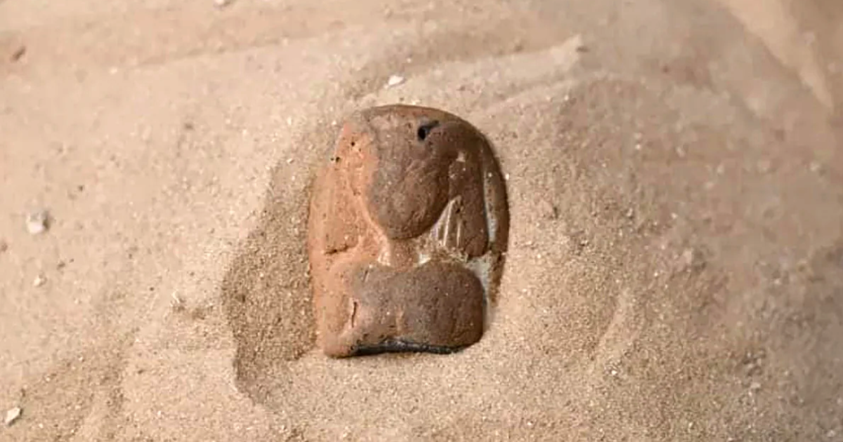 Woman walking on Israeli beach finds 3,000 year-old figurine